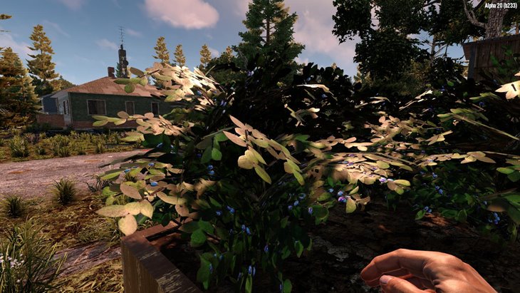 7 days to die harvesting crops will always give a seed, 7 days to die farming