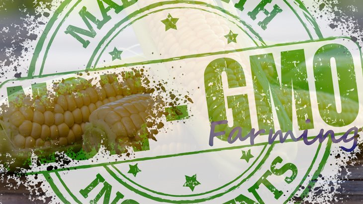GMO Farming
