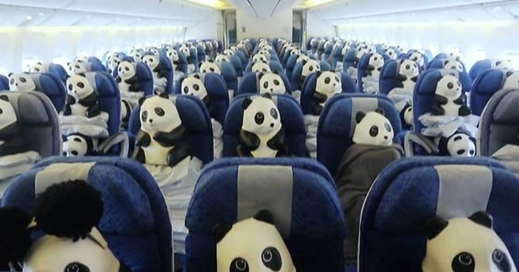 7 days to die fluffy panda mega suburbia airport additional screenshot 3