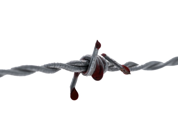 7 days to die tams barbed wire additional screenshot 1