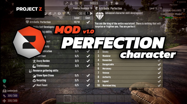 Perfection (Server Side, New Skills, 500lvl)