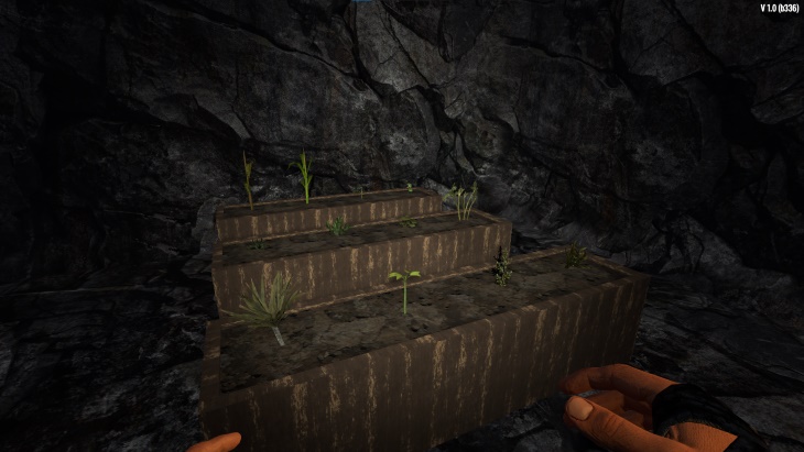 Underground Crops