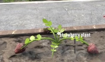 7 days to die new food and plants additional screenshot 4