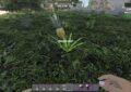 7 days to die new food and plants