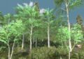 7 days to die birch trees