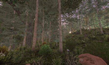 7 days to die conifer forest