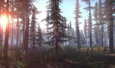 7 days to die coniferous forest spruce edition