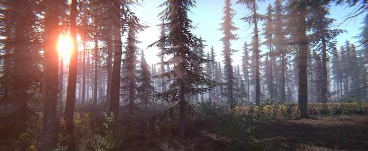 Coniferous Forest – Spruce Edition
