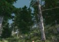 7 days to die coniferous forest mountain firs snowy variants