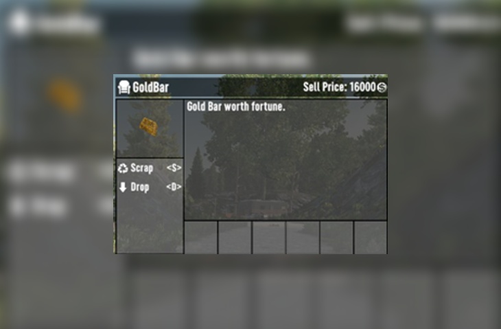 Gold and Silver Bars