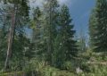 chasecs northern forest biome pack for 7 days to die
