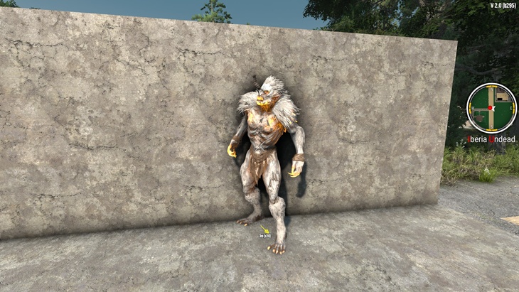 DDG_AutopickupArrowsAndBolts