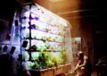 A dim, post-apocalyptic workshop featuring a glowing multi-tier hydroponics setup covered in plastic sheeting, with lush green plants illuminated by purple grow lights, while a survivor in protective gear tends to equipment—featured image for GrayedSilence’s Hydroponics 2.0 Renewed mod for 7 Days to Die